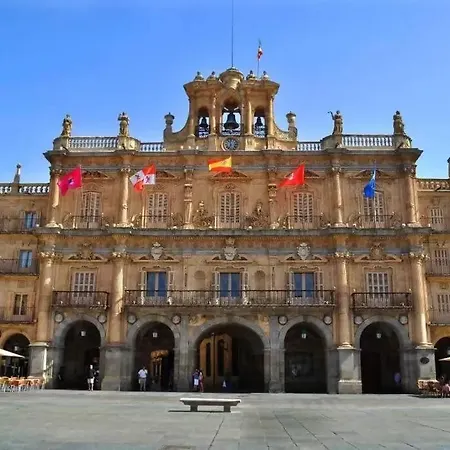 Toro Plaza Mayor Centro *